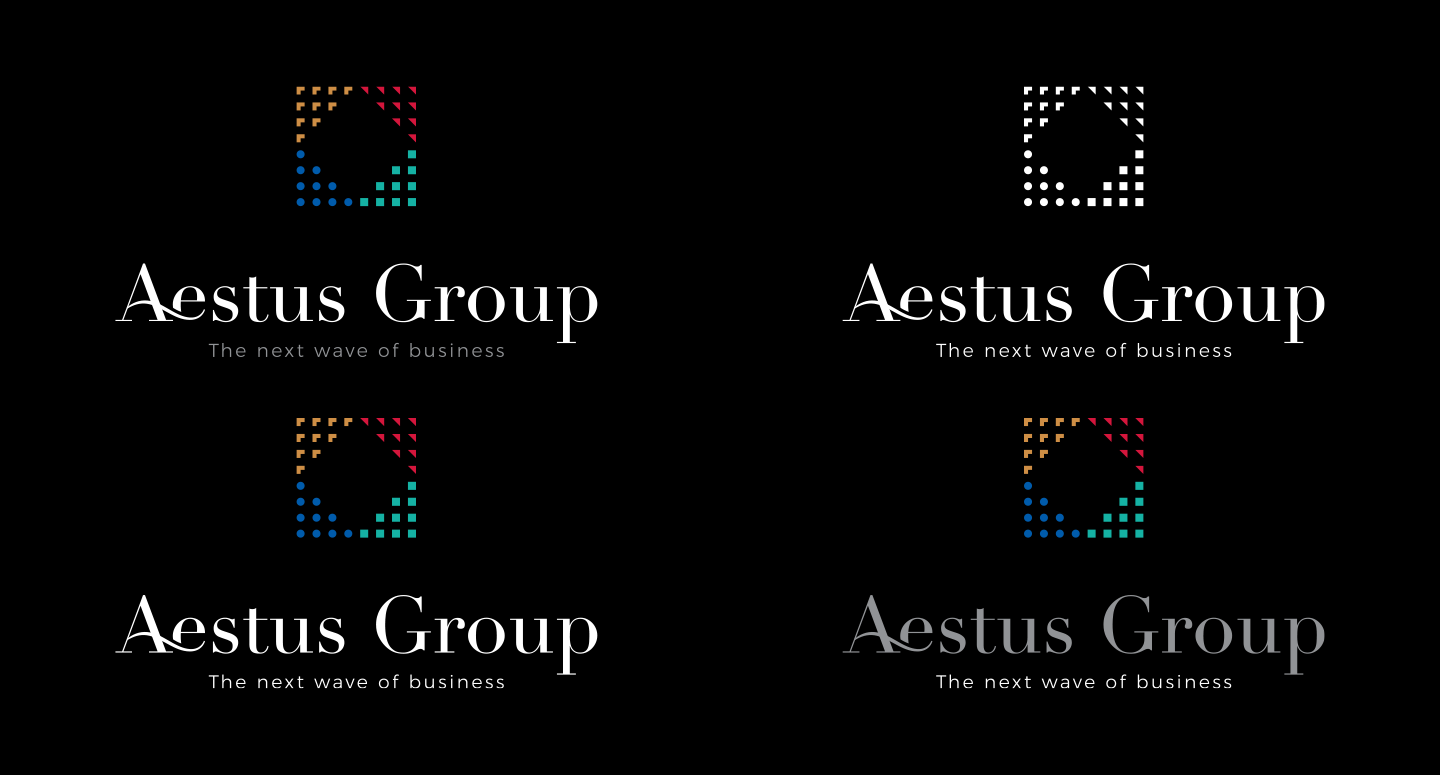 aestus, aestus group - rebranding, slogan, ambalaža
