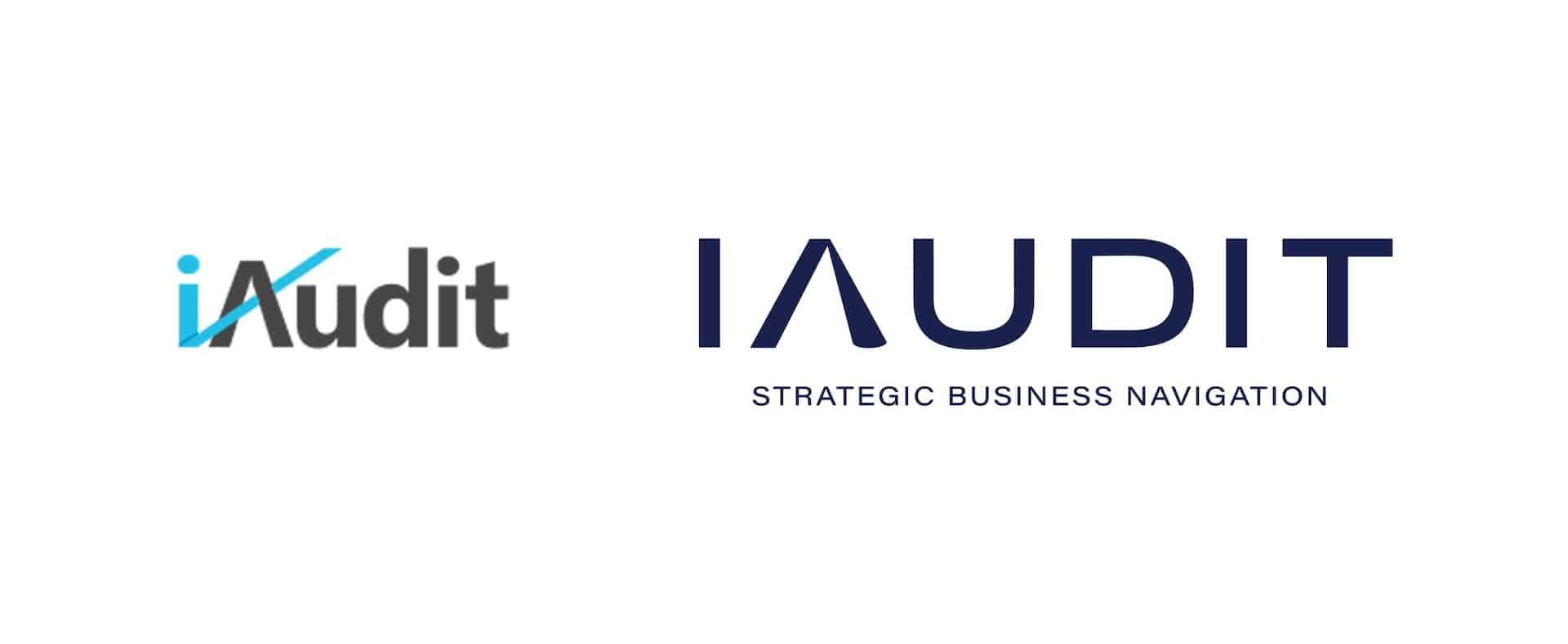 iaudit, rebranding, verbalni identitet, fabula