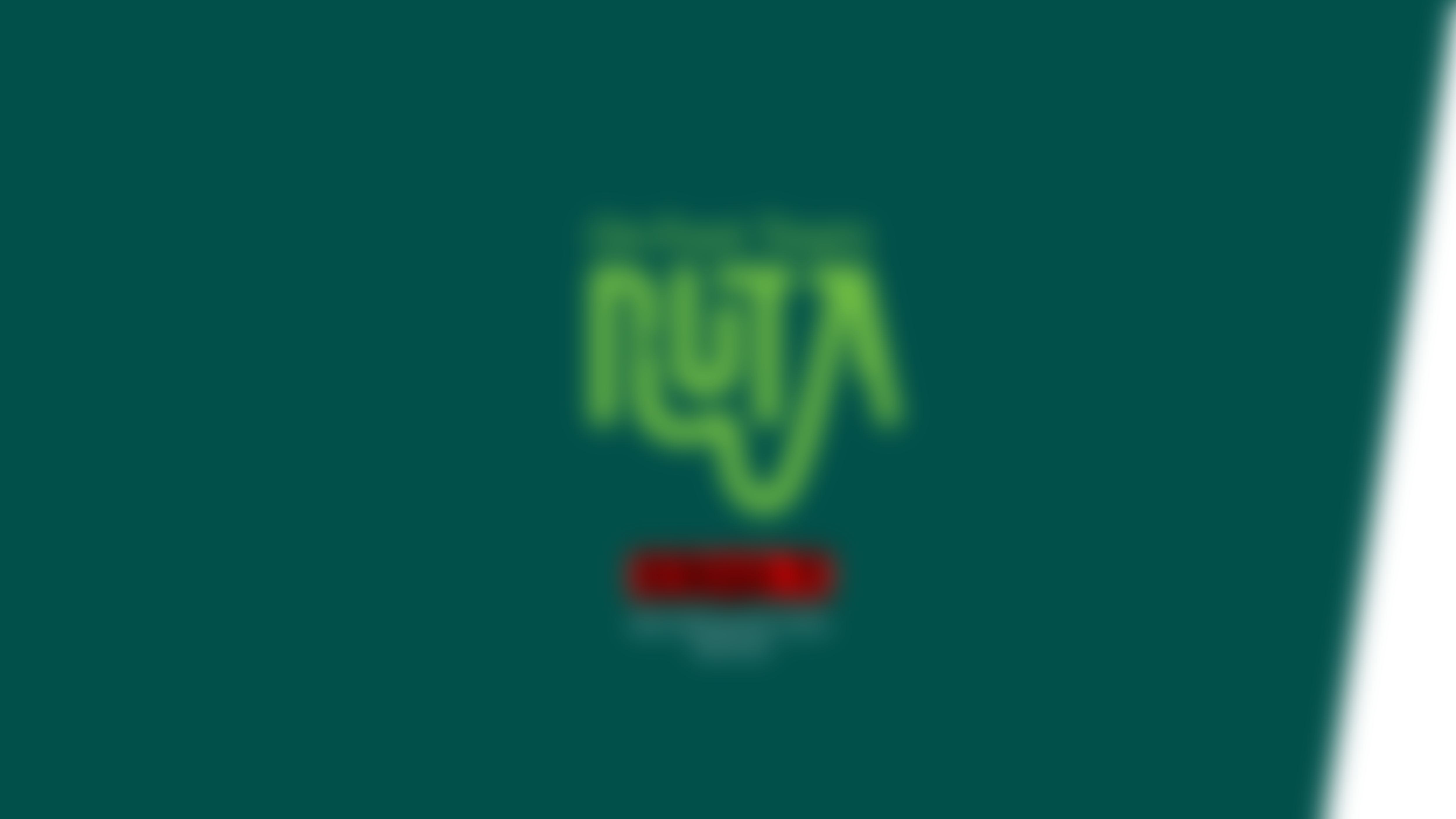 ruta, naming, branding, verbalni identitet, vizualni identitet, fabula